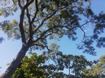 Se vende amplia finca de 5.6 hectáreas en Orotina Alajuela 21-1635