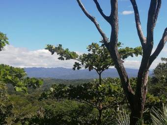 Se vende amplia finca de 5.6 hectáreas en Orotina Alajuela 21-1635