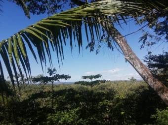 Se vende amplia finca de 5.6 hectáreas en Orotina Alajuela 21-1635