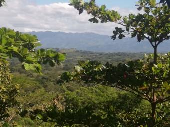 Se vende amplia finca de 5.6 hectáreas en Orotina Alajuela 21-1635