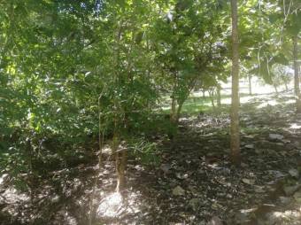 Se vende amplia finca de 5.6 hectáreas en Orotina Alajuela 21-1635
