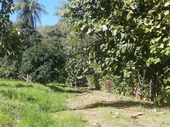 Se vende amplia finca de 5.6 hectáreas en Orotina Alajuela 21-1635