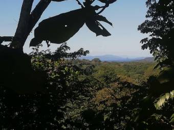 Se vende amplia finca de 5.6 hectáreas en Orotina Alajuela 21-1635