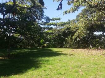 Se vende amplia finca de 5.6 hectáreas en Orotina Alajuela 21-1635