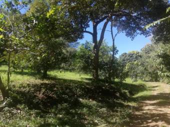Se vende amplia finca de 5.6 hectáreas en Orotina Alajuela 21-1635