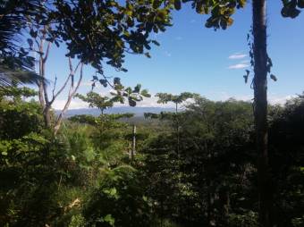 Se vende amplia finca de 5.6 hectáreas en Orotina Alajuela 21-1635