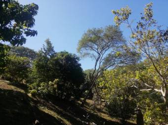 Se vende amplia finca de 5.6 hectáreas en Orotina Alajuela 21-1635