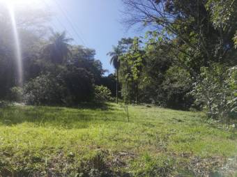 Se vende amplia finca de 5.6 hectáreas en Orotina Alajuela 21-1635
