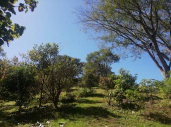 Se vende amplia finca de 5.6 hectáreas en Orotina Alajuela 21-1635