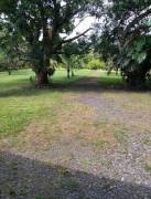 Se vende amplia quinta de 10,000m2 en Orotina Alajuela 2569