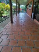 Se vende amplia quinta de 10,000m2 en Orotina Alajuela 2569