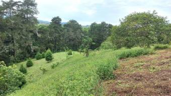 Se vende lote de 2 hectáreas en Mata de Plátano Goicoechea 25-1767 Se vende lote de 2 hectáreas en Mata de Plátano Goicoechea 25-1767