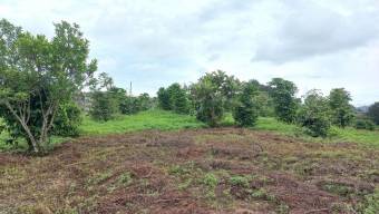 Se vende lote de 2 hectáreas en Mata de Plátano Goicoechea 25-1767 Se vende lote de 2 hectáreas en Mata de Plátano Goicoechea 25-1767