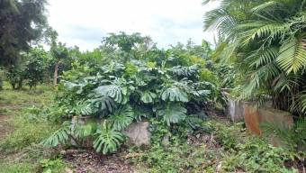 Se vende lote de 2 hectáreas en Mata de Plátano Goicoechea 25-1767 Se vende lote de 2 hectáreas en Mata de Plátano Goicoechea 25-1767