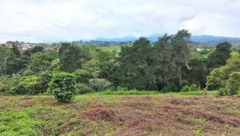 Se vende lote de 2 hectáreas en Mata de Plátano Goicoechea 25-1767 Se vende lote de 2 hectáreas en Mata de Plátano Goicoechea 25-1767