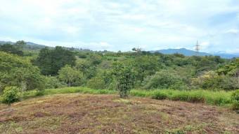 Se vende lote de 2 hectáreas en Mata de Plátano Goicoechea 25-1767 Se vende lote de 2 hectáreas en Mata de Plátano Goicoechea 25-1767