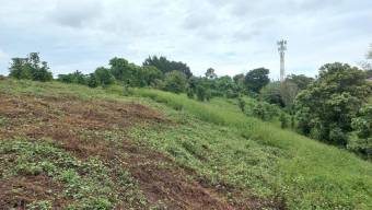 Se vende lote de 2 hectáreas en Mata de Plátano Goicoechea 25-1767 Se vende lote de 2 hectáreas en Mata de Plátano Goicoechea 25-1767