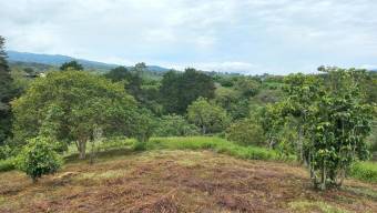 Se vende lote de 2 hectáreas en Mata de Plátano Goicoechea 25-1767 Se vende lote de 2 hectáreas en Mata de Plátano Goicoechea 25-1767