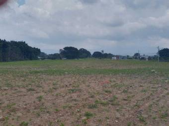 Se vende amplio lote de 1.4 hectáreas en Guacima Alajuela 25-1419 Se vende amplio lote de 1.4 hectáreas en Guacima Alajuela 25-1419