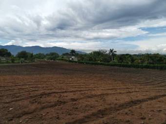 Se vende lote de 1.6 hectáreas para inversión en San Rafael Alajuela 25-742