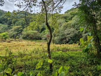 Se vende lote de 1.2 hectáreas en Colon de San José 25-1619 Se vende lote de 1.2 hectáreas en Colon de San José 25-1619