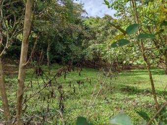 Se vende lote de 1.2 hectáreas en Colon de San José 25-1619 Se vende lote de 1.2 hectáreas en Colon de San José 25-1619