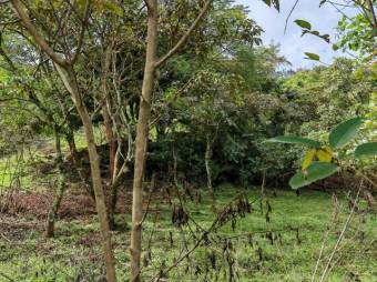 Se vende lote de 1.2 hectáreas en Colon de San José 25-1619 Se vende lote de 1.2 hectáreas en Colon de San José 25-1619