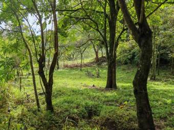 Se vende lote de 1.2 hectáreas en Colon de San José 25-1619 Se vende lote de 1.2 hectáreas en Colon de San José 25-1619