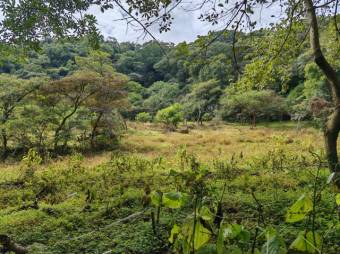Se vende lote de 1.2 hectáreas en Colon de San José 25-1619