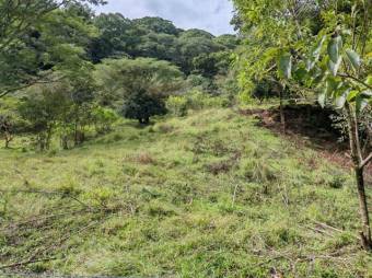 Se vende lote de 1.2 hectáreas en Colon de San José 25-1619 Se vende lote de 1.2 hectáreas en Colon de San José 25-1619