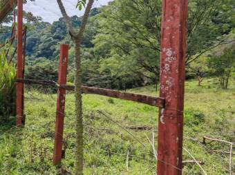 Se vende lote de 1.2 hectáreas en Colon de San José 25-1619 Se vende lote de 1.2 hectáreas en Colon de San José 25-1619