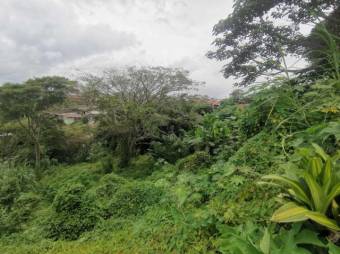 Se vende amplio lote con mas de 6,700m2 en San Ramon Alajuela 24-1765 Se vende amplio lote con mas de 6,700m2 en San Ramon Alajuela 24-1765