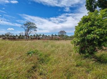 Se vende amplio lote con mas de 9,900m2 en Desamparados Alajuela 25-1447 Se vende amplio lote con mas de 9,900m2 en Desamparados Alajuela 25-1447