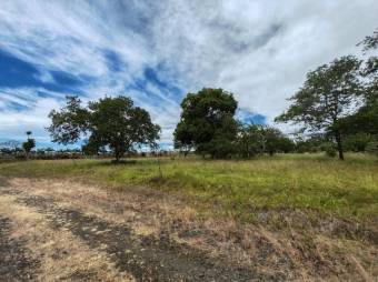 Se vende amplio lote con mas de 9,900m2 en Desamparados Alajuela 25-1447 Se vende amplio lote con mas de 9,900m2 en Desamparados Alajuela 25-1447