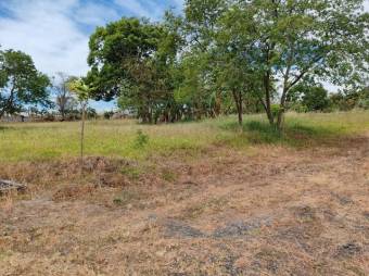 Se vende amplio lote con mas de 9,900m2 en Desamparados Alajuela 25-1447 Se vende amplio lote con mas de 9,900m2 en Desamparados Alajuela 25-1447