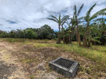 Se vende amplio lote con mas de 9,900m2 en Desamparados Alajuela 25-1447 Se vende amplio lote con mas de 9,900m2 en Desamparados Alajuela 25-1447