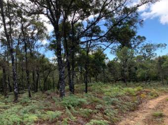 Se vende amplio lote de 21.8 Hectáreas en San Pablo Heredia 23-1708 Se vende amplio lote de 21.8 Hectáreas en San Pablo Heredia 23-1708