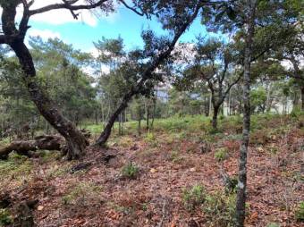 Se vende amplio lote de 21.8 Hectáreas en San Pablo Heredia 23-1708 Se vende amplio lote de 21.8 Hectáreas en San Pablo Heredia 23-1708