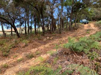 Se vende amplio lote de 21.8 Hectáreas en San Pablo Heredia 23-1708 Se vende amplio lote de 21.8 Hectáreas en San Pablo Heredia 23-1708