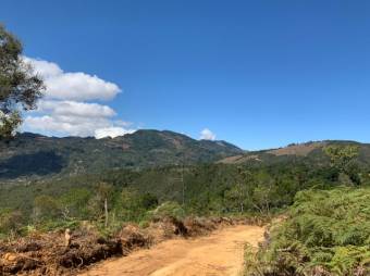 Se vende amplio lote de 21.8 Hectáreas en San Pablo Heredia 23-1708 Se vende amplio lote de 21.8 Hectáreas en San Pablo Heredia 23-1708