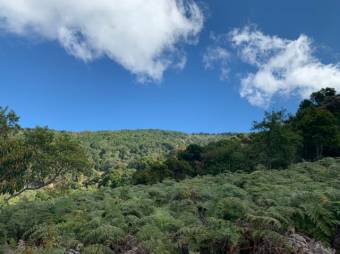 Se vende amplio lote de 21.8 Hectáreas en San Pablo Heredia 23-1708 Se vende amplio lote de 21.8 Hectáreas en San Pablo Heredia 23-1708