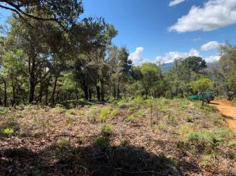 Se vende amplio lote de 21.8 Hectáreas en San Pablo Heredia 23-1708 Se vende amplio lote de 21.8 Hectáreas en San Pablo Heredia 23-1708