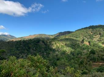 Se vende amplio lote de 21.8 Hectáreas en San Pablo Heredia 23-1708 Se vende amplio lote de 21.8 Hectáreas en San Pablo Heredia 23-1708