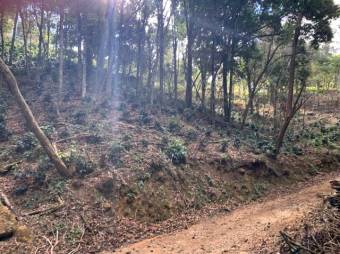 Se vende amplio lote de 21.8 Hectáreas en San Pablo Heredia 23-1708 Se vende amplio lote de 21.8 Hectáreas en San Pablo Heredia 23-1708