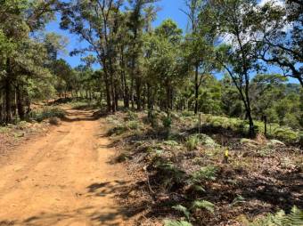 Se vende amplio lote de 21.8 Hectáreas en San Pablo Heredia 23-1708 Se vende amplio lote de 21.8 Hectáreas en San Pablo Heredia 23-1708