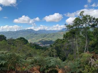 Se vende amplio lote de 21.8 Hectáreas en San Pablo Heredia 23-1708 Se vende amplio lote de 21.8 Hectáreas en San Pablo Heredia 23-1708