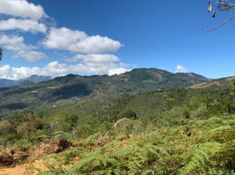 Se vende amplio lote de 21.8 Hectáreas en San Pablo Heredia 23-1708