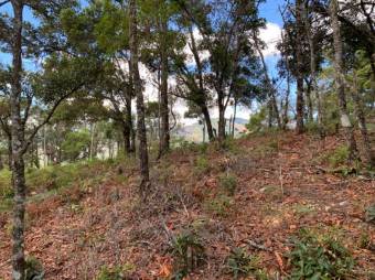 Se vende amplio lote de 21.8 Hectáreas en San Pablo Heredia 23-1708 Se vende amplio lote de 21.8 Hectáreas en San Pablo Heredia 23-1708