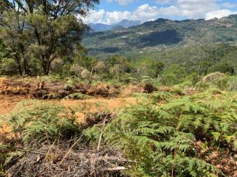 Se vende amplio lote de 21.8 Hectáreas en San Pablo Heredia 23-1708 Se vende amplio lote de 21.8 Hectáreas en San Pablo Heredia 23-1708