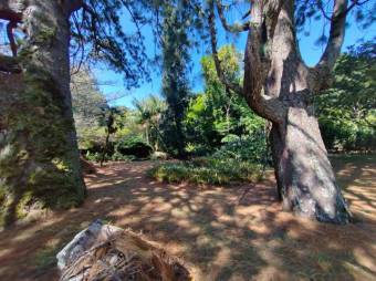 Se vende amplia finca de 3.6 hectáreas en Ángeles Heredia 24-1448 Se vende amplia finca de 3.6 hectáreas en Ángeles Heredia 24-1448
